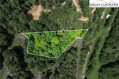 Lake Lot For Sale in Butler, Tennessee
