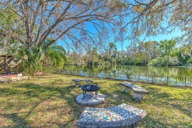 Lake Home For Sale in Tampa, Florida