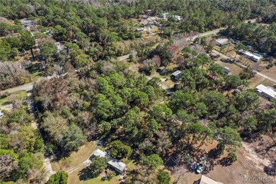 Build Your Dream Home on Over Half an Acre! This beautiful - photo 11