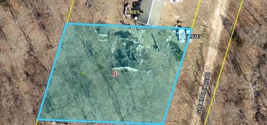 Build your lake home or manufactured here! Walking distance to - photo 12