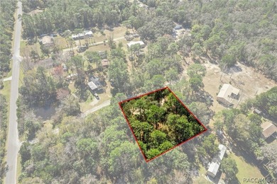 Build Your Dream Home on Over Half an Acre! This beautiful - photo 14