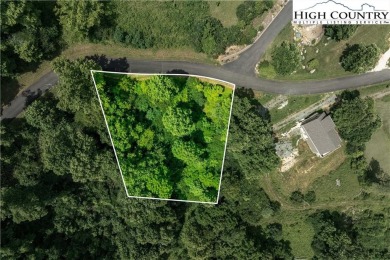 Lake Lot For Sale in Butler, Tennessee