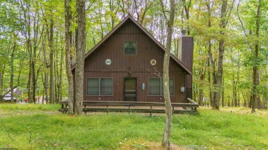 Lake Home For Sale in Terra Alta, West Virginia