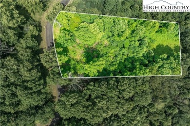 Lake Lot For Sale in Butler, Tennessee