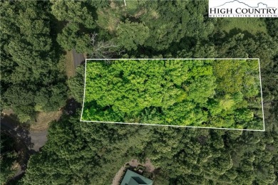 Lake Lot For Sale in Butler, Tennessee