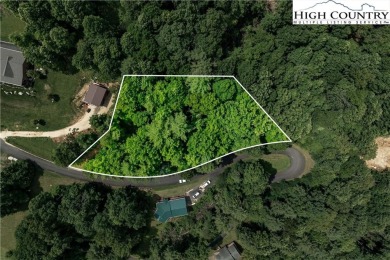 Lake Lot For Sale in Butler, Tennessee