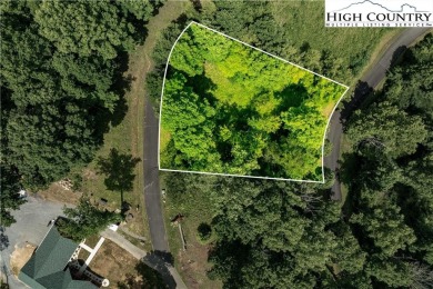 Lake Lot For Sale in Butler, Tennessee