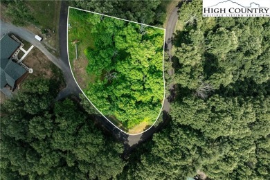 Lake Lot For Sale in Butler, Tennessee