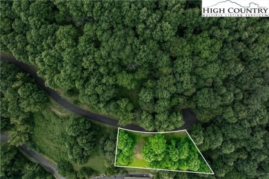 Lake Lot For Sale in Butler, Tennessee