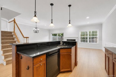 Tucked within the heart of vibrant Patchogue Village, this - photo 16