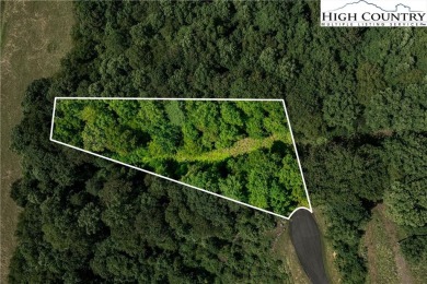 Lake Lot For Sale in Butler, Tennessee