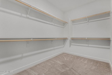 Luxury living at its finest! The amenities will blow your mind- - photo 27