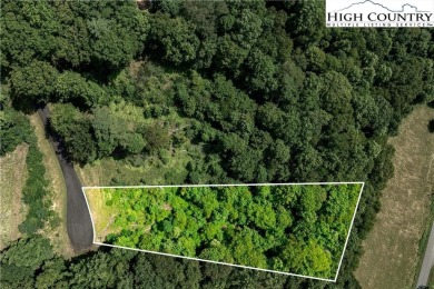 Lake Lot For Sale in Butler, Tennessee