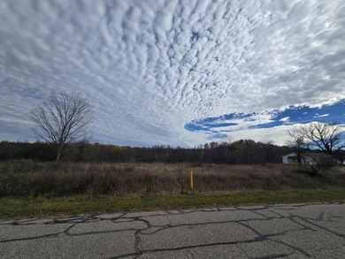 Lake Lot For Sale in Big Rapids, Michigan