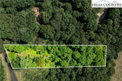 Lake Lot For Sale in Butler, Tennessee