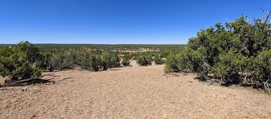 White Mountain Lake Lot For Sale in Show Low Arizona
