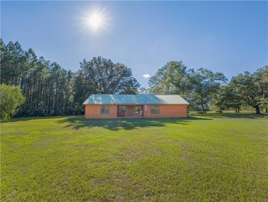 (private lake, pond, coastal) Home For Sale in Hortense Georgia