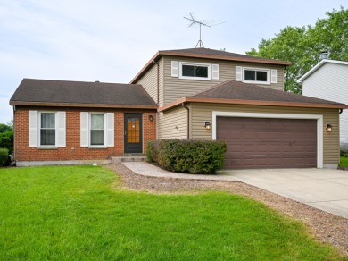 Lake Home Sale Pending in Downers Grove, Illinois