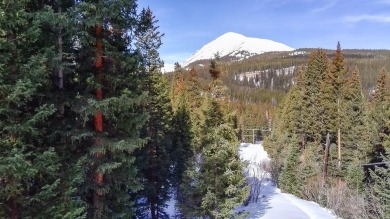 Blue River Lot For Sale in Breckenridge Colorado