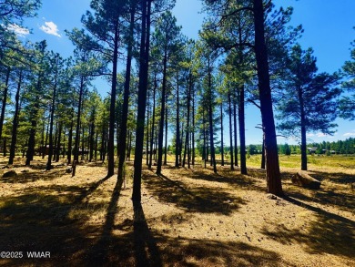 Lake Lot For Sale in Pinetop, Arizona