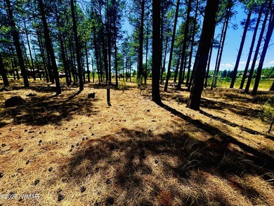 One-of-a-Kind 1.01-Acre Meadow Lot in Sierra Springs Ranch - photo 2