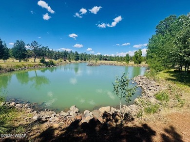 One-of-a-Kind 1.01-Acre Meadow Lot in Sierra Springs Ranch - photo 3