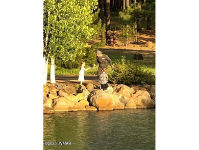 One-of-a-Kind 1.01-Acre Meadow Lot in Sierra Springs Ranch - photo 6