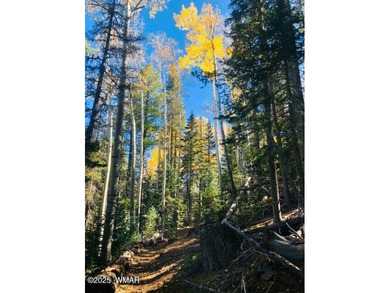 One-of-a-Kind 1.01-Acre Meadow Lot in Sierra Springs Ranch - photo 8