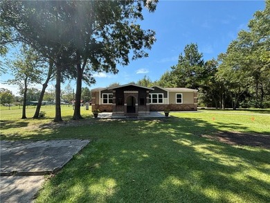 (private lake, pond, coastal) Home For Sale in Jesup Georgia