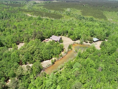 (private lake, pond, coastal) Home For Sale in Keysville Georgia
