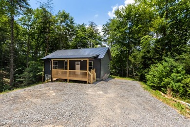 BRAND NEW CONSTRUCTION! A new home by one of Murphy's best home - photo 35