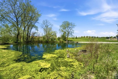One-of-a-kind architectural home is set on over 7.29+/- acres - photo 56