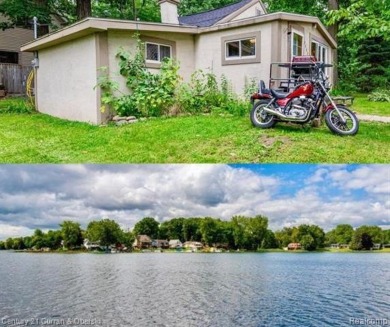 Lake Home For Sale in Otter Lake, Michigan