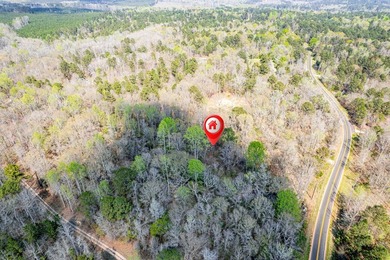 Property Highlights: Prime Location: 8.89 acres nestled in a - photo 5
