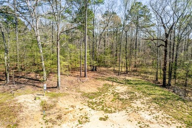 Property Highlights: Prime Location: 8.89 acres nestled in a - photo 6