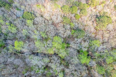 Property Highlights: Prime Location: 8.89 acres nestled in a - photo 9