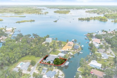 A One-of-a-Kind Waterfront Estate with Exceptional Boating - photo 6