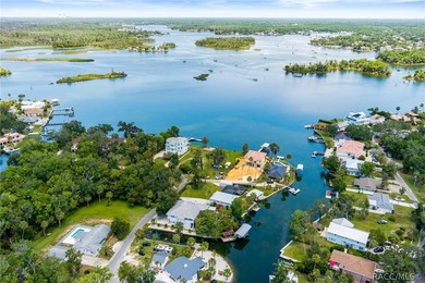 A One-of-a-Kind Waterfront Estate with Exceptional Boating - photo 8