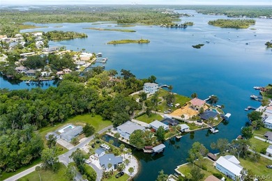 A One-of-a-Kind Waterfront Estate with Exceptional Boating - photo 10