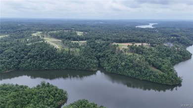 Introducing Emeralds Edge-Tuscaloosa's newest premier lakefront - photo 11