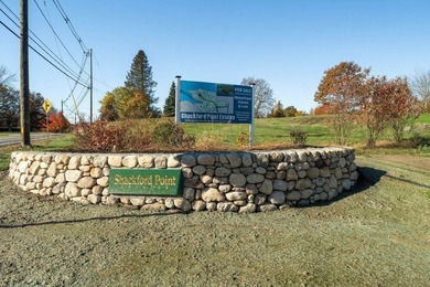 A rare coastal offering in the heart of Newington, New Hampshire - photo 48