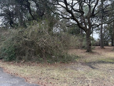 Rare opportunity to secure a vacant homesite in the heart of - photo 3
