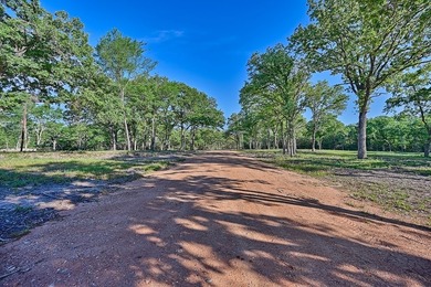 +/-325 acres with approximately 1 mile of frontage on Lake - photo 4