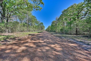 +/-325 acres with approximately 1 mile of frontage on Lake - photo 6