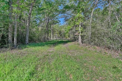 +/-325 acres with approximately 1 mile of frontage on Lake - photo 7
