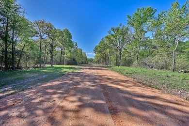 +/-325 acres with approximately 1 mile of frontage on Lake - photo 8