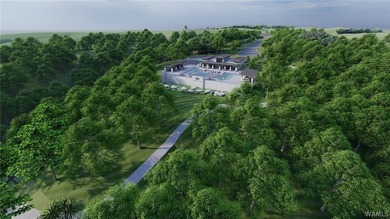 Introducing Emeralds Edge-Tuscaloosa's newest premier lakefront - photo 18