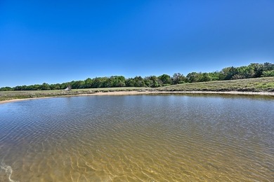 +/-325 acres with approximately 1 mile of frontage on Lake - photo 9