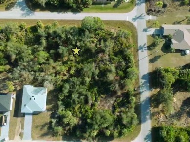 Port Charlotte Waterway Lakes Area Lot Sale Pending in Port Charlotte Florida
