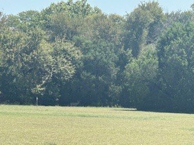 White Bluff is the place to be. This is a great corner lot - photo 3